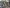 document thumbnail