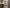 document thumbnail